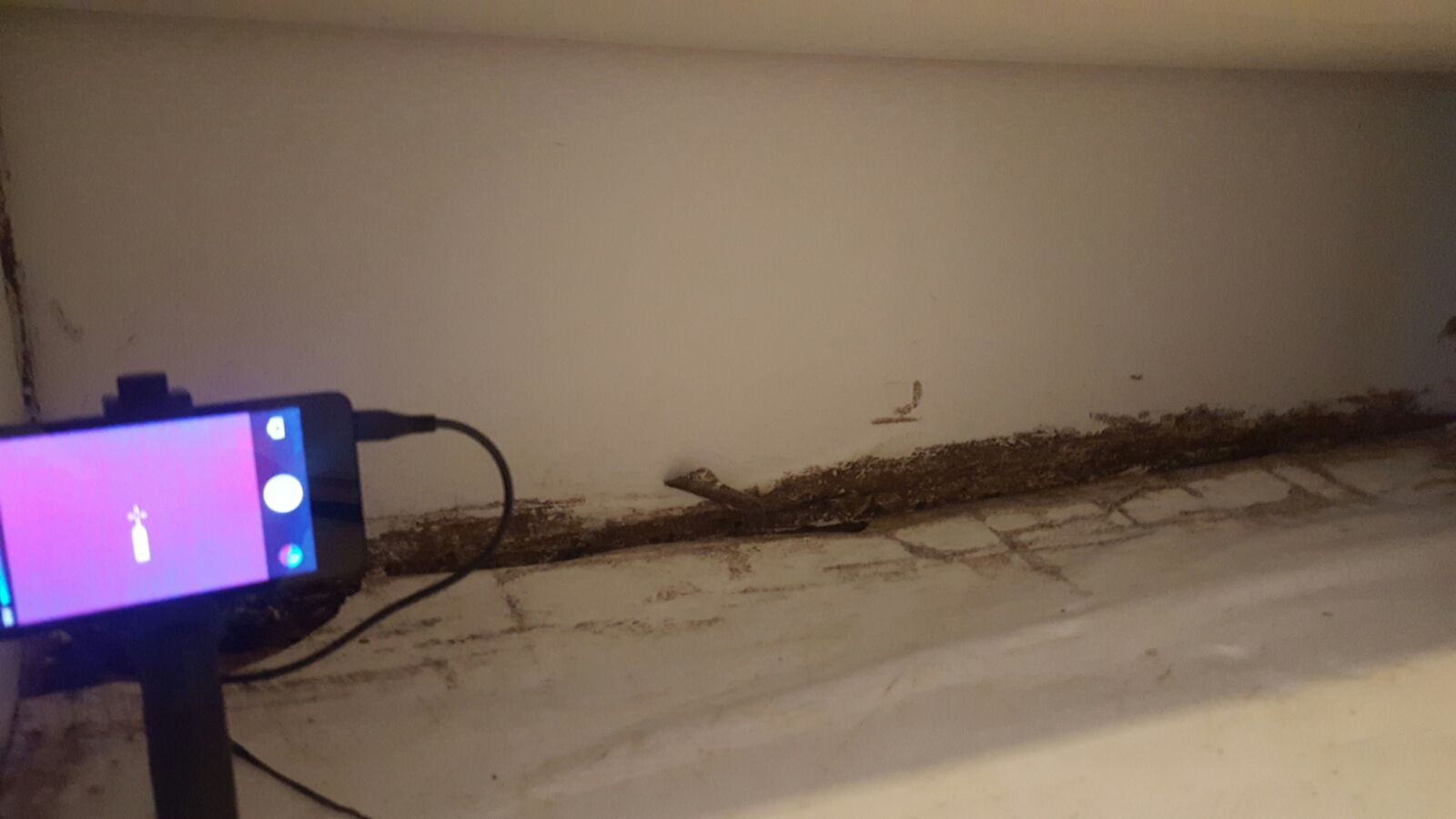 Subterranean termite Control Services