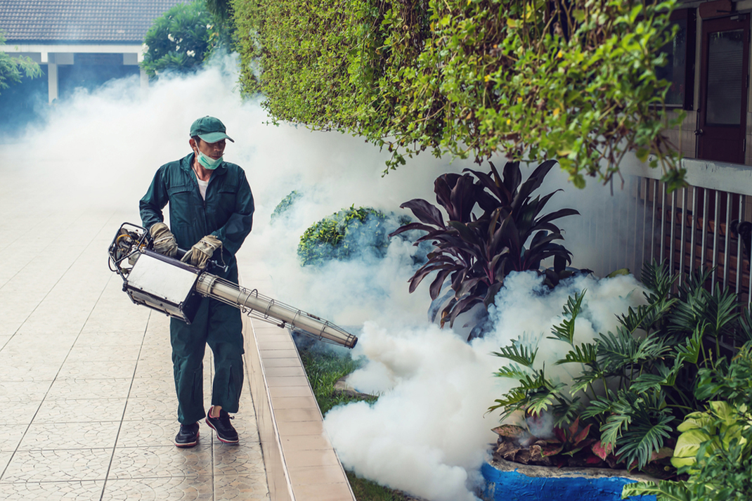 Dengue Prevention Singapore Mosquito Control