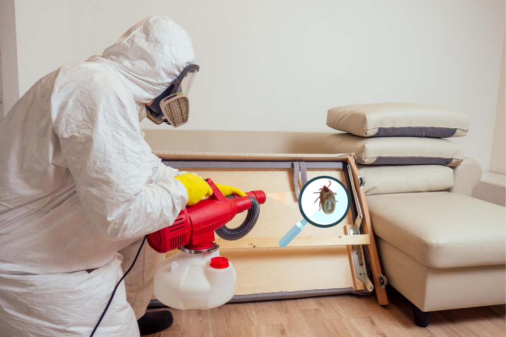 Essential Tips to Protect Your Child from Bed Bug Bites