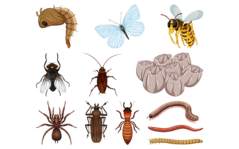Illustrated collection of insects and arthropods including butterfly, spider, beetle, millipede, and earthworm.