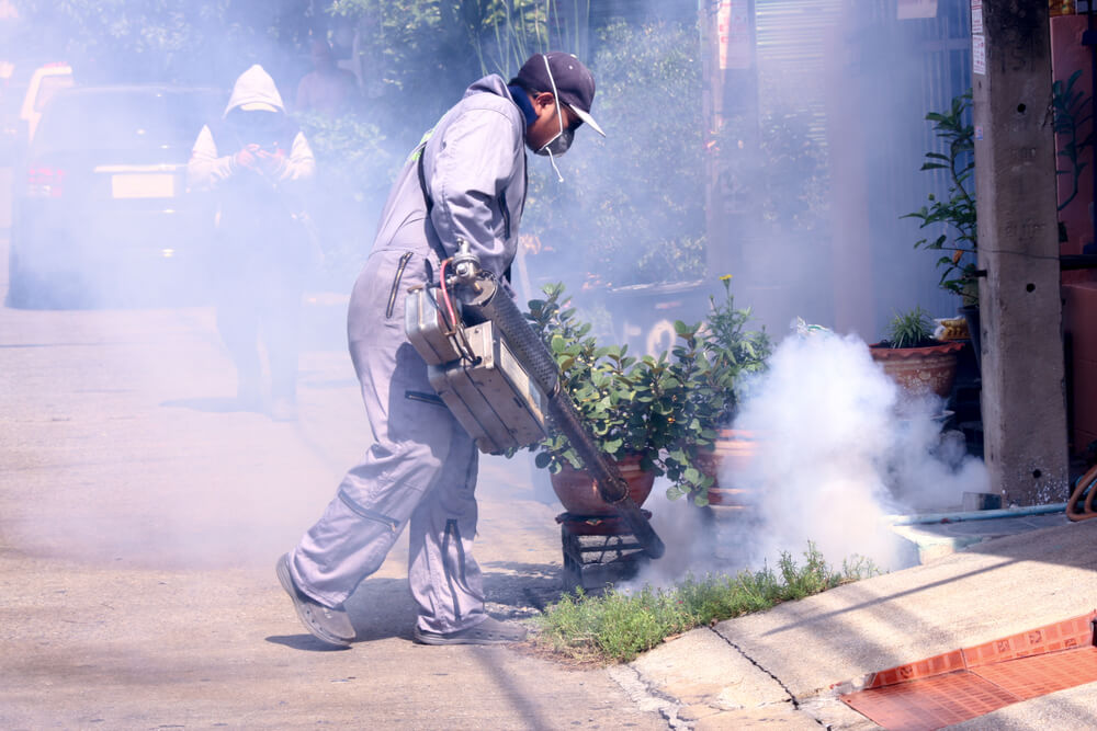 mosquito fogging