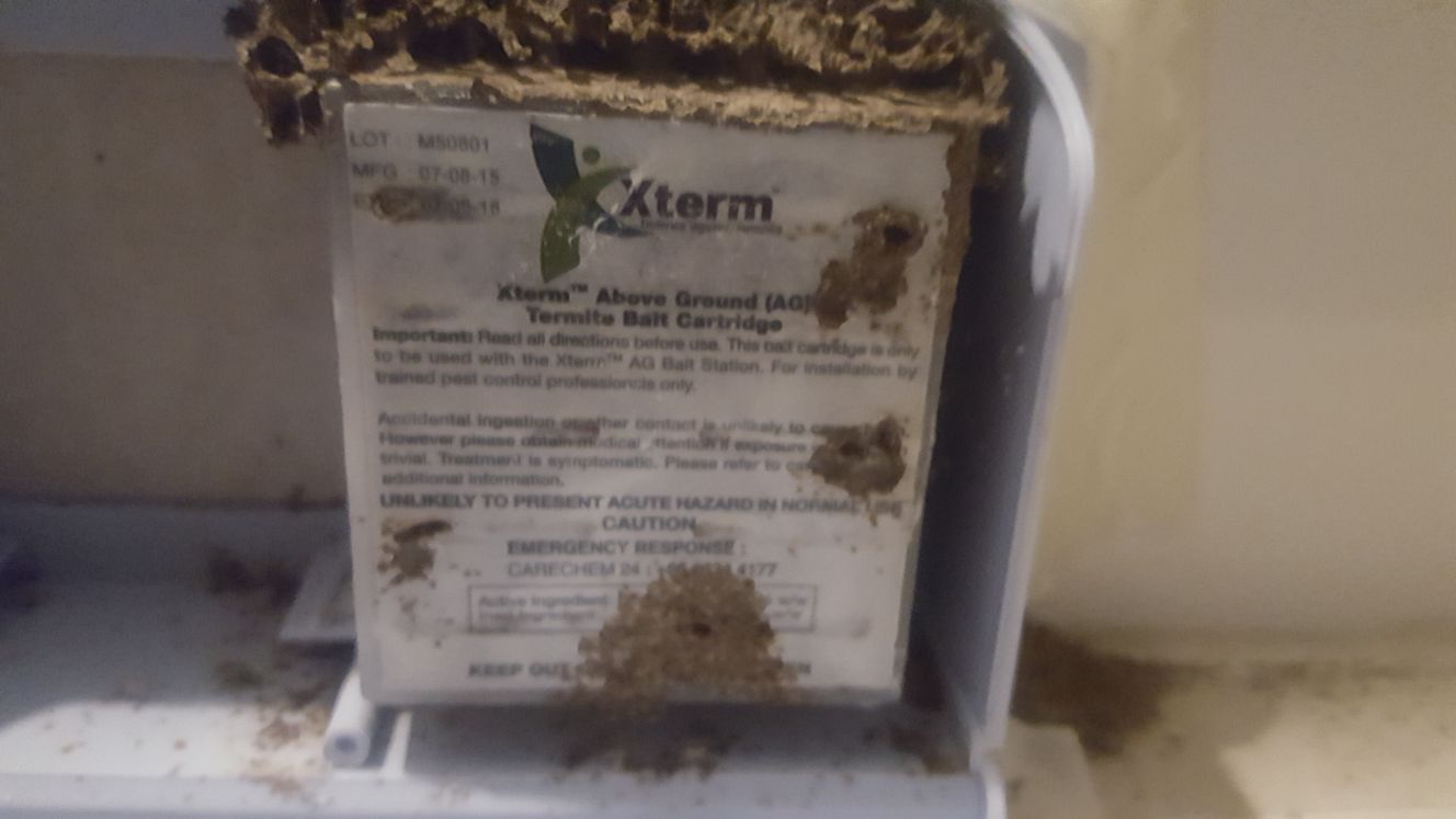 Anti-Termite soil treatment
