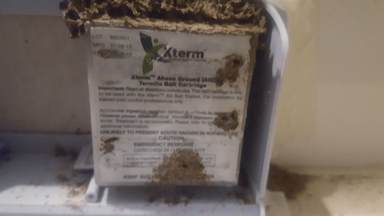 Subterranean Termite Services 