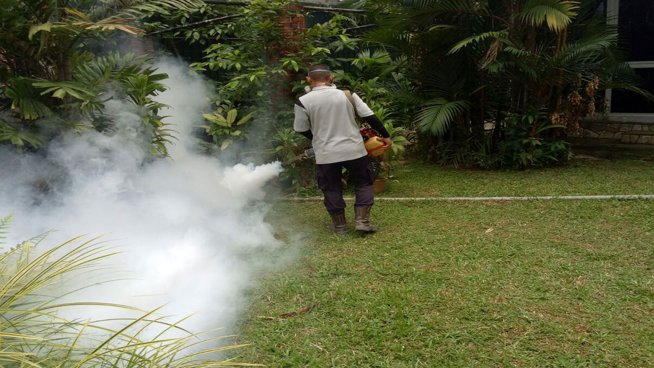 Mosquito Breeding control services Singapore