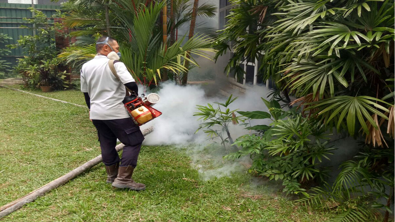 Mosquito Control services